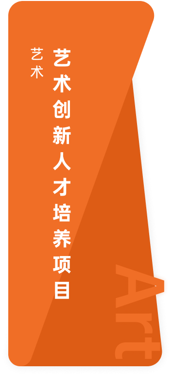 艺术项目